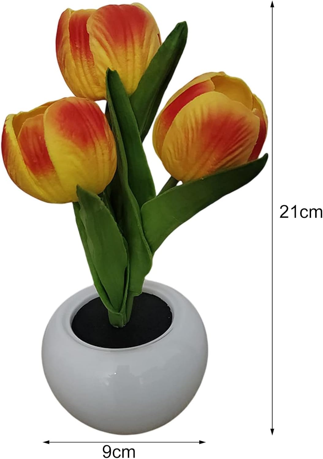 BloomTulip – Romance & Light in One!