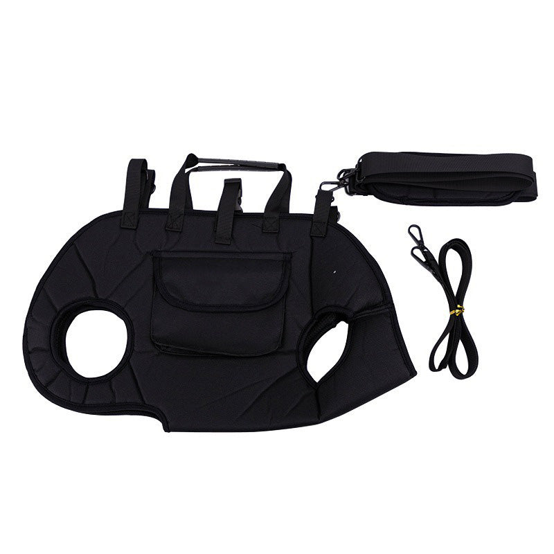 PetGo – Comfort & Safety for You and Your Pet!