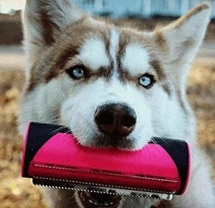 PetCare – For shiny coats & happy pets!