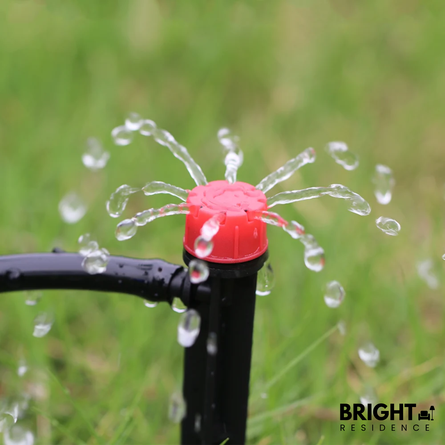 AquaDrip – Precision Watering for Your Plants, Effortlessly (Set of 100)
