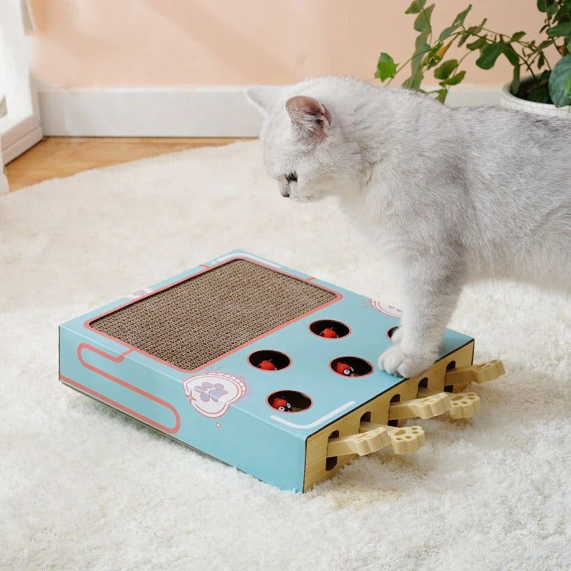 ScratchNest – The Ultimate 3-in-1 Playground for Your Cat