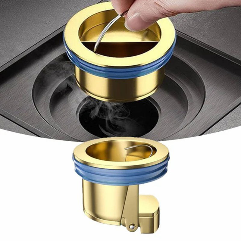 2+1 FREE | DrainGuard – Keep Drains Fresh & Clear!
