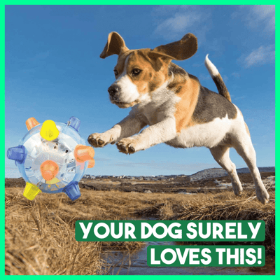 BounceBark - The ball that banishes boredom