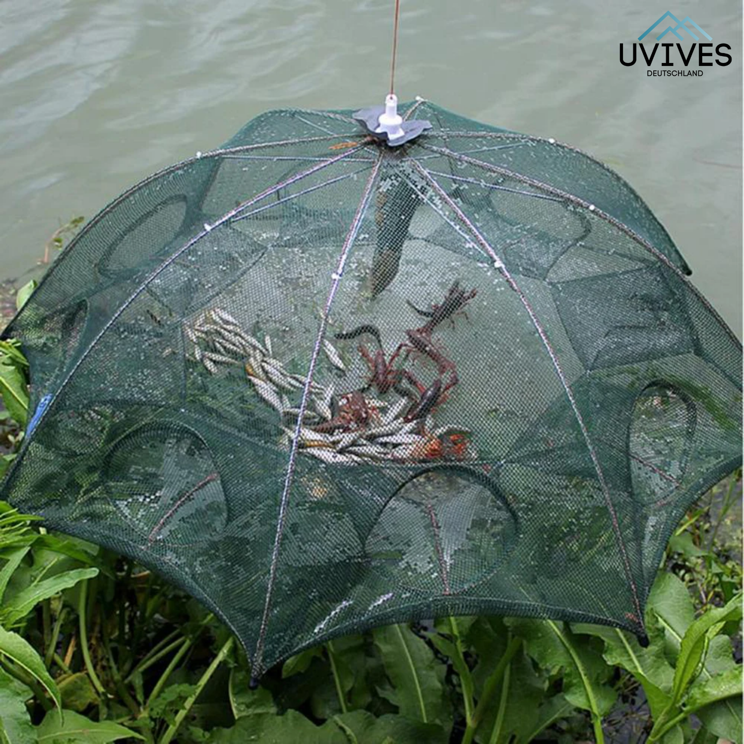 TrapCatch - The clever trap for fish & crabs!