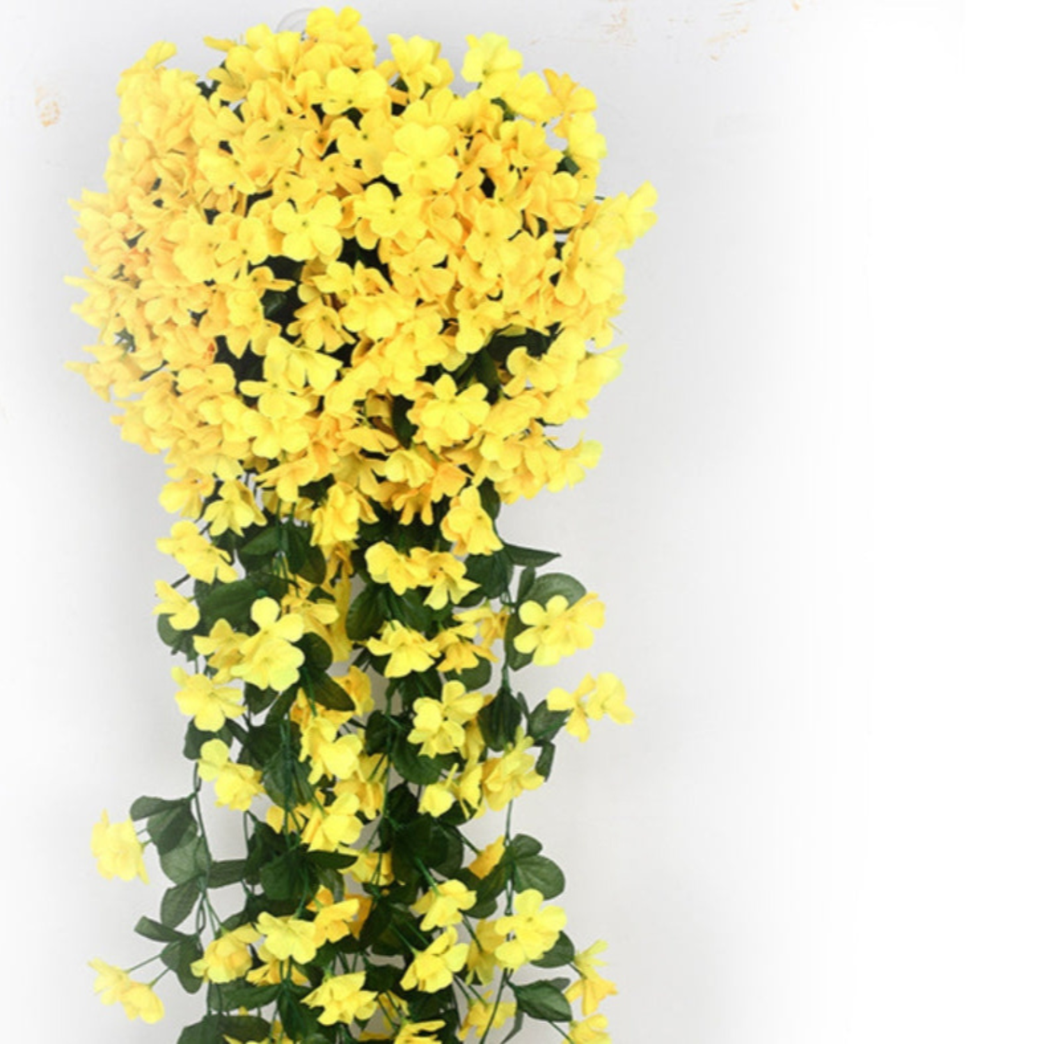 PlantGlow - Natural elegance, permanently fresh