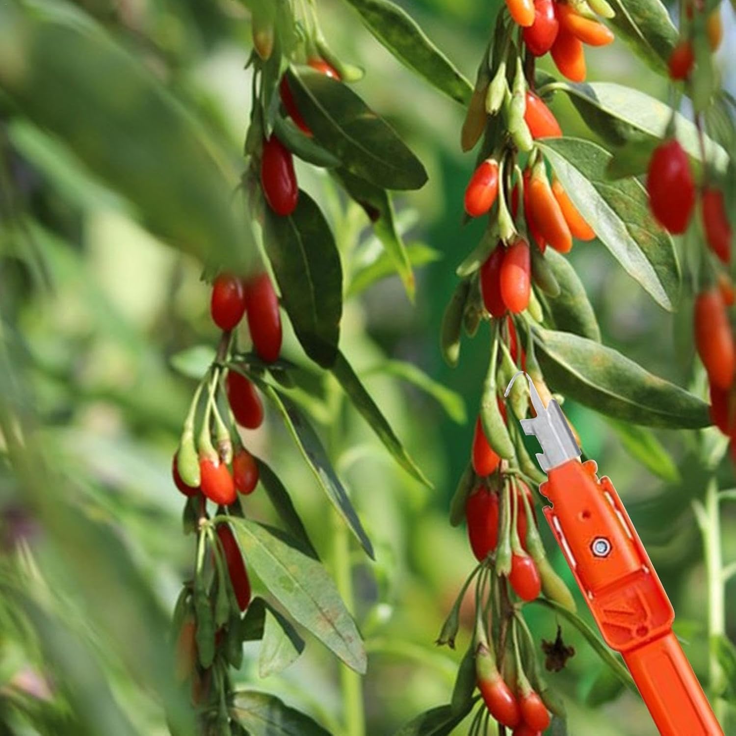 AgroEase – Harvesting & Cutting Made Easy