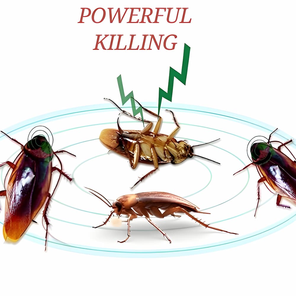 4+4 FREE | RoachShield – The Ultimate Chemical-Free Cockroach Solution