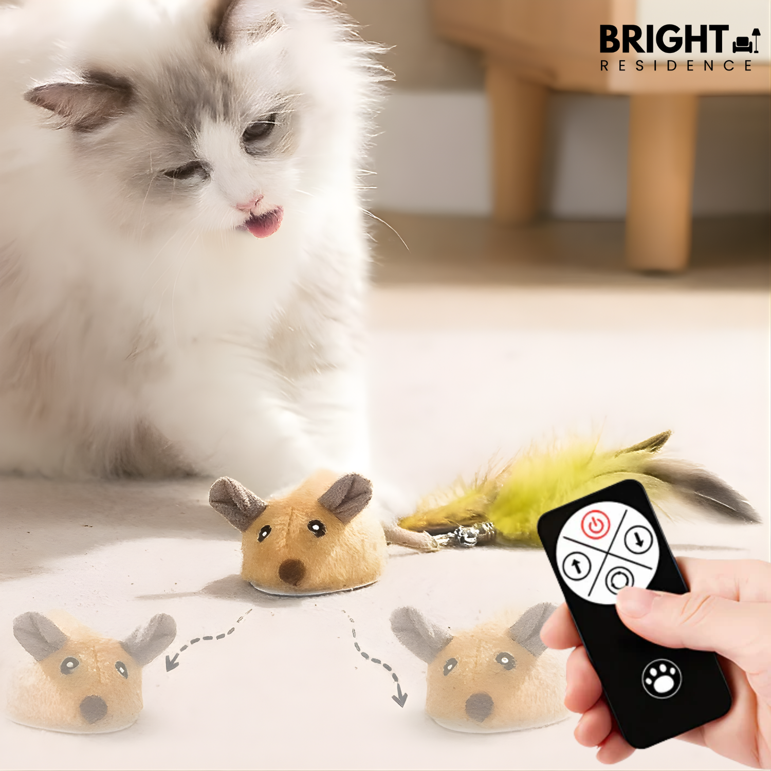 CatChase – The wild hunting fun for curious cats!