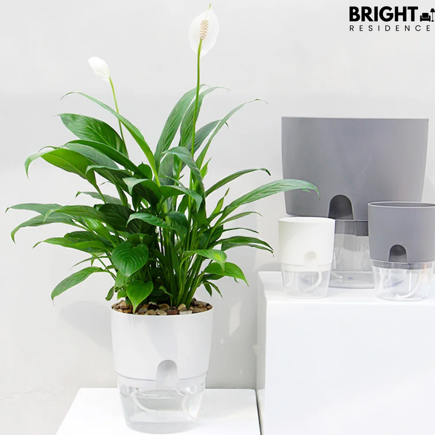 PlanterFlow™ - Self-watering planters
