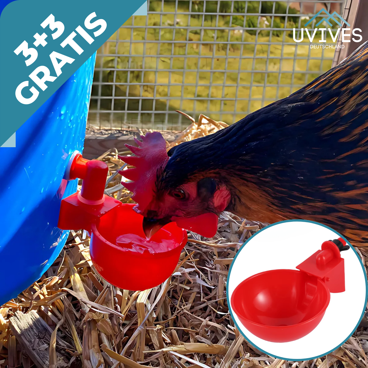 3+3 FREE | AquaNest - Fresh water for happy animals
