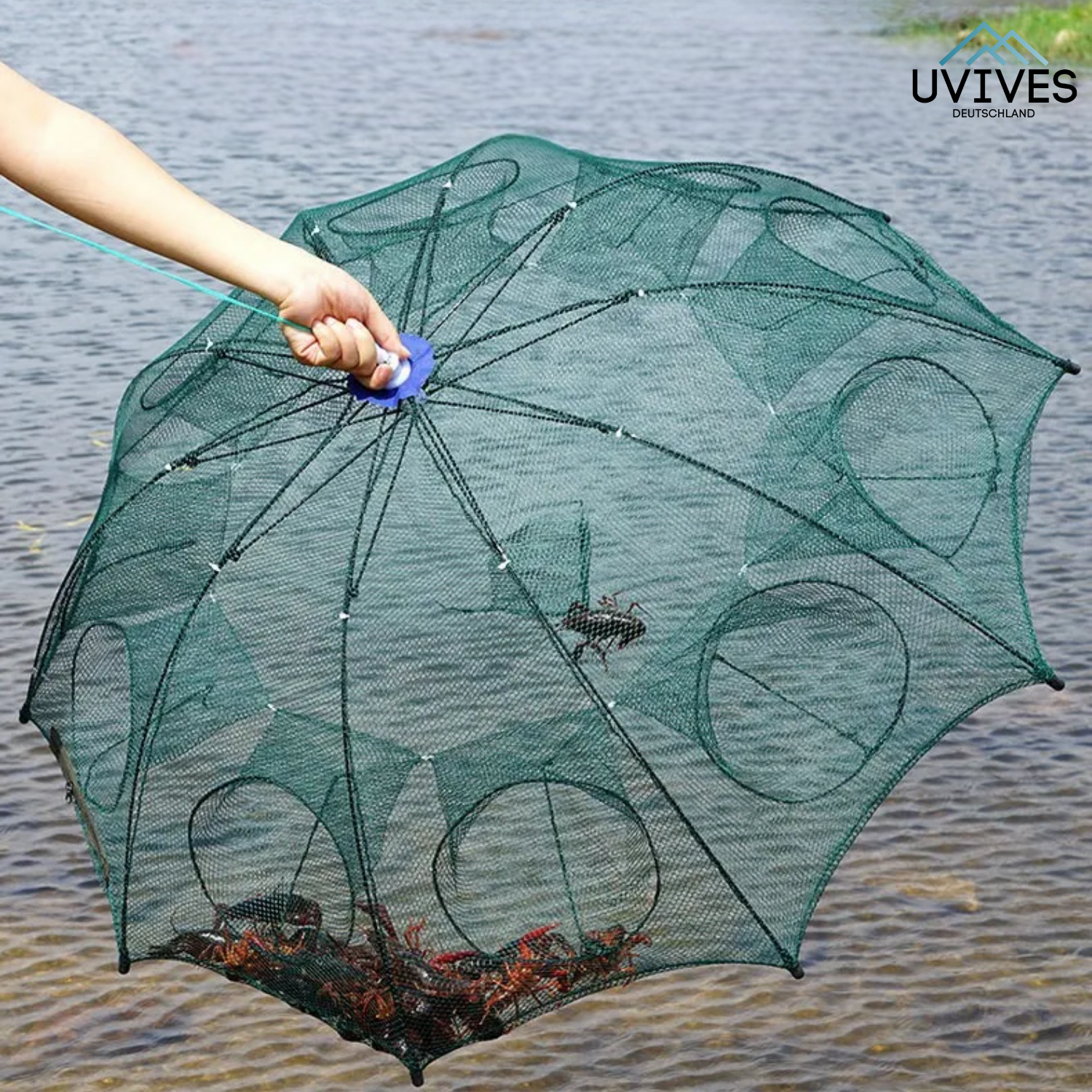 TrapCatch - The clever trap for fish & crabs!