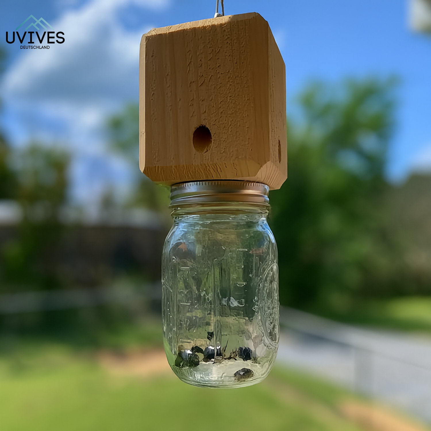 WoodGuard – Chemical-Free Carpenter Bee Trap for Wooden Surfaces