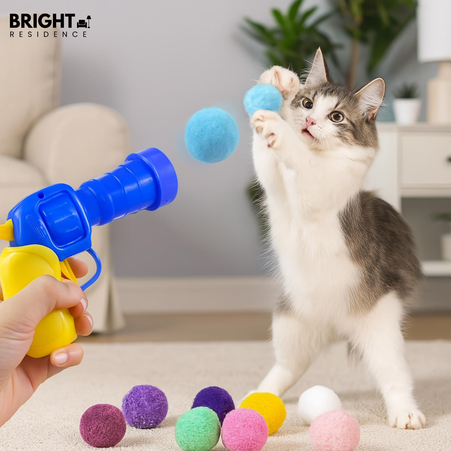 PurrShot - Play & exercise for curious cats (1 set)