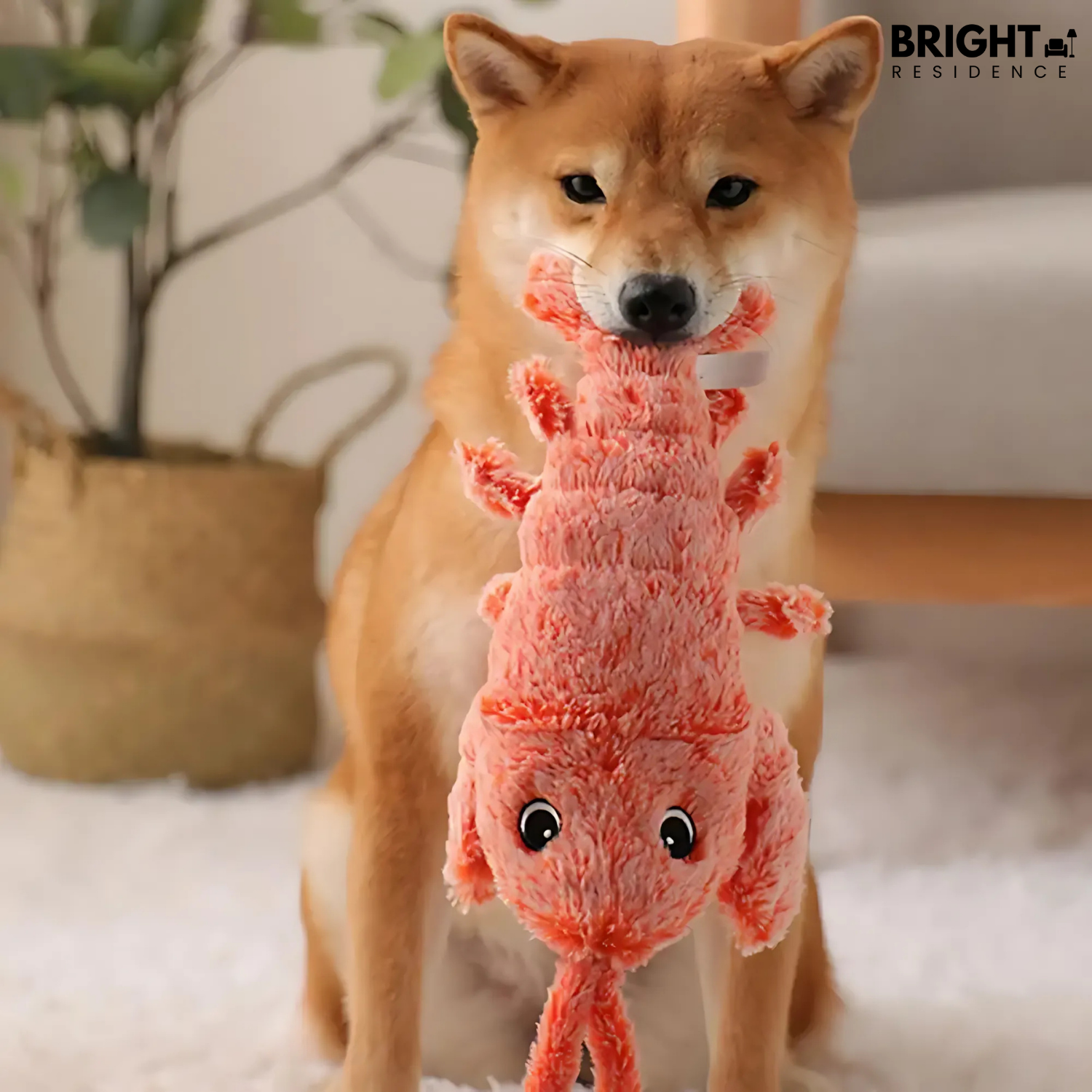 HugglePet – The Ultimate Interactive Toy for Your Furry Friend