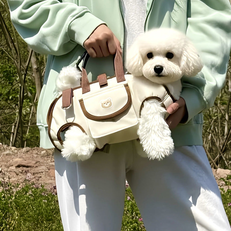 PetGo – Comfort & Safety for You and Your Pet!