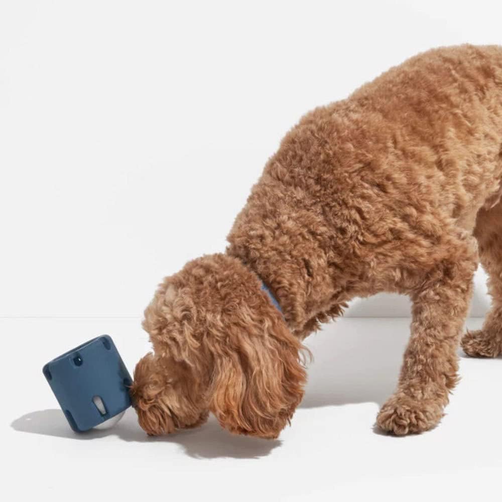 ChewJoy Pro – Healthy Teeth, Happy Dog!