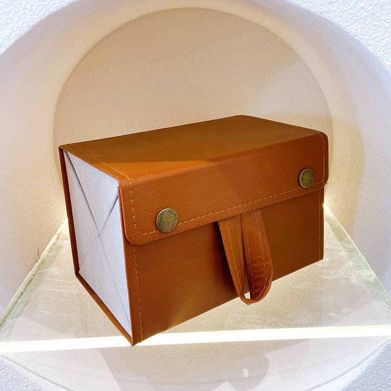 GlassGuard – Your Stylish Eyewear Protector for Safe Storage