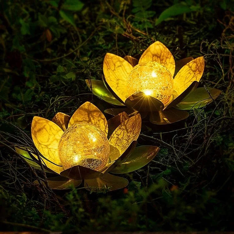 1+1 FREE | LotuGlow - Magical garden lighting with style