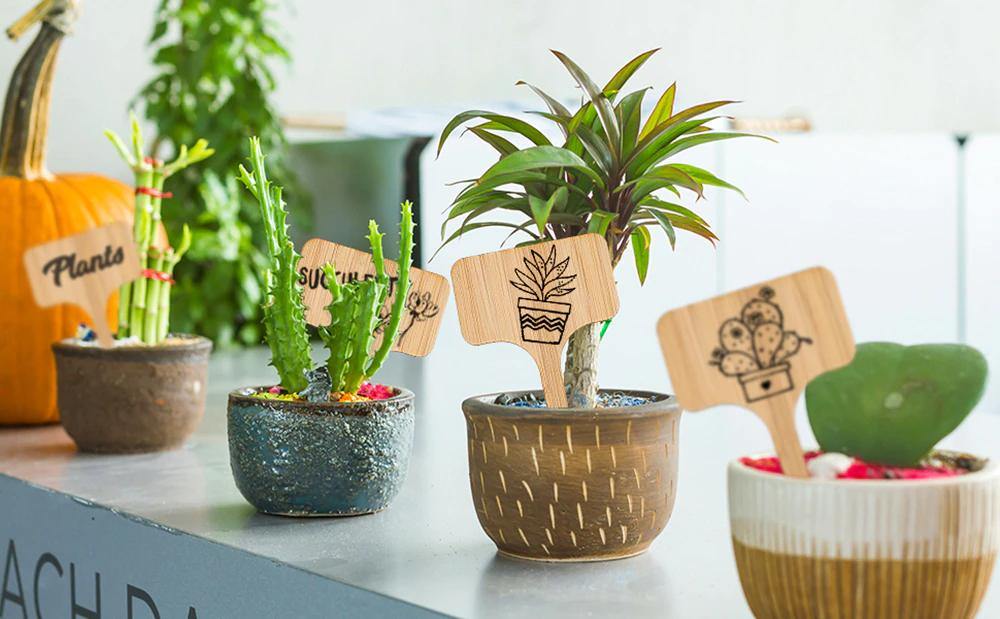 PlantSign - Bamboo plant signs for garden & decoration