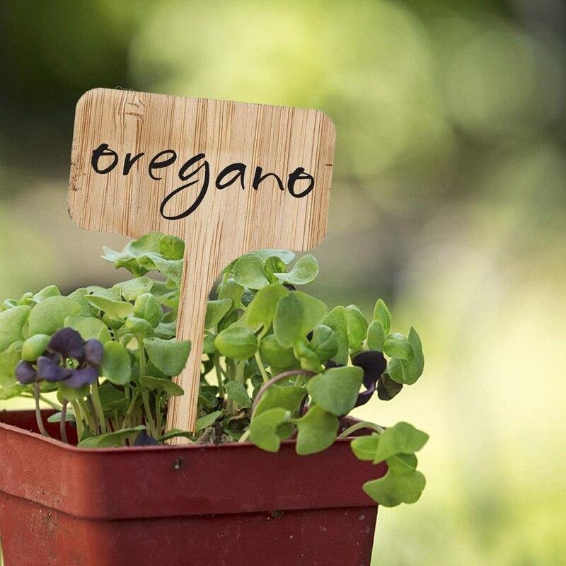 PlantSign - Bamboo plant signs for garden & decoration