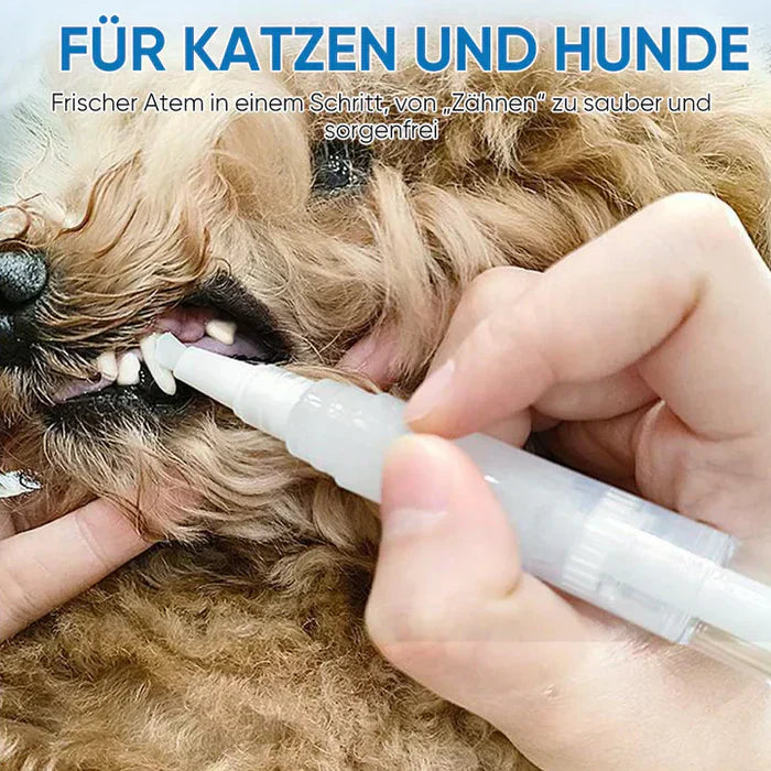 1+1 FREE |PawBright – Effortless Pet Dental Care for a Healthier Smile