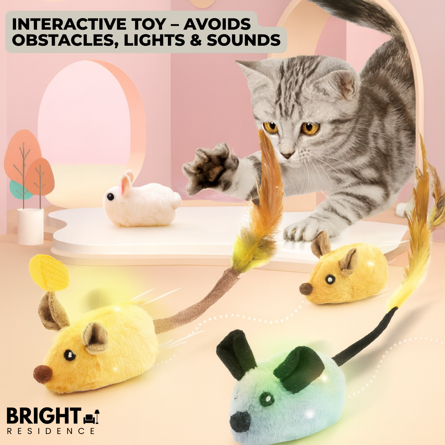 CatChase – The wild hunting fun for curious cats!