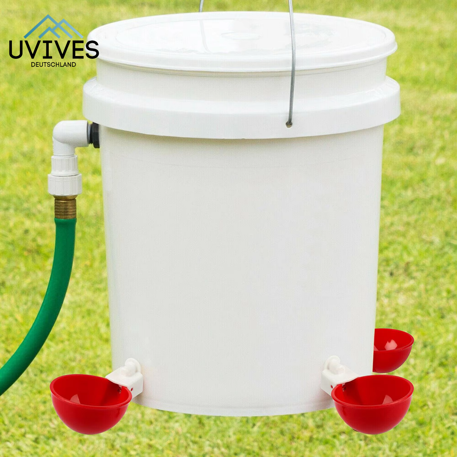 3+3 FREE | AquaNest - Fresh water for happy animals