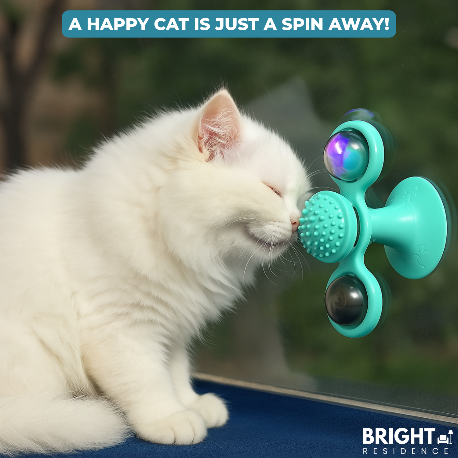 SpinPaw™ - Endless fun & exercise for your cat!
