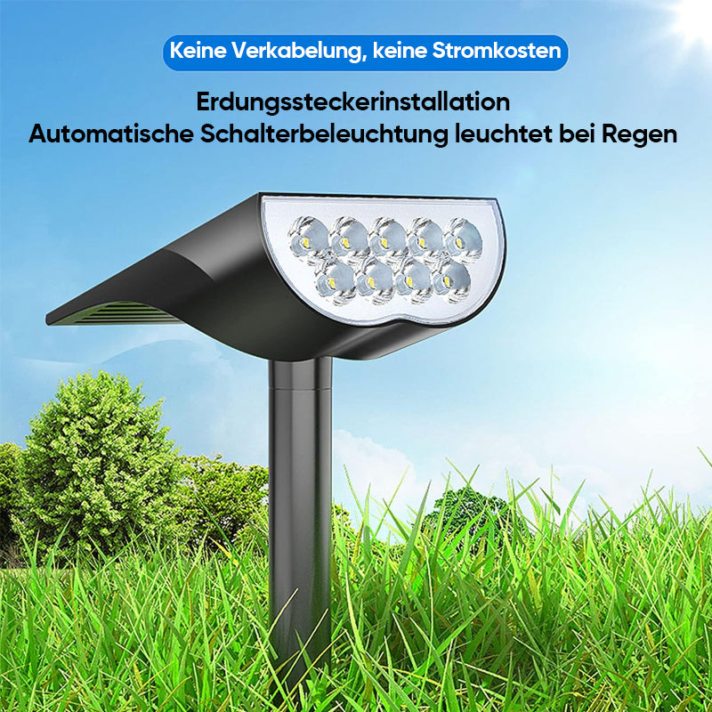 SunGlow Spot – Solar Powered Lighting for Every Season