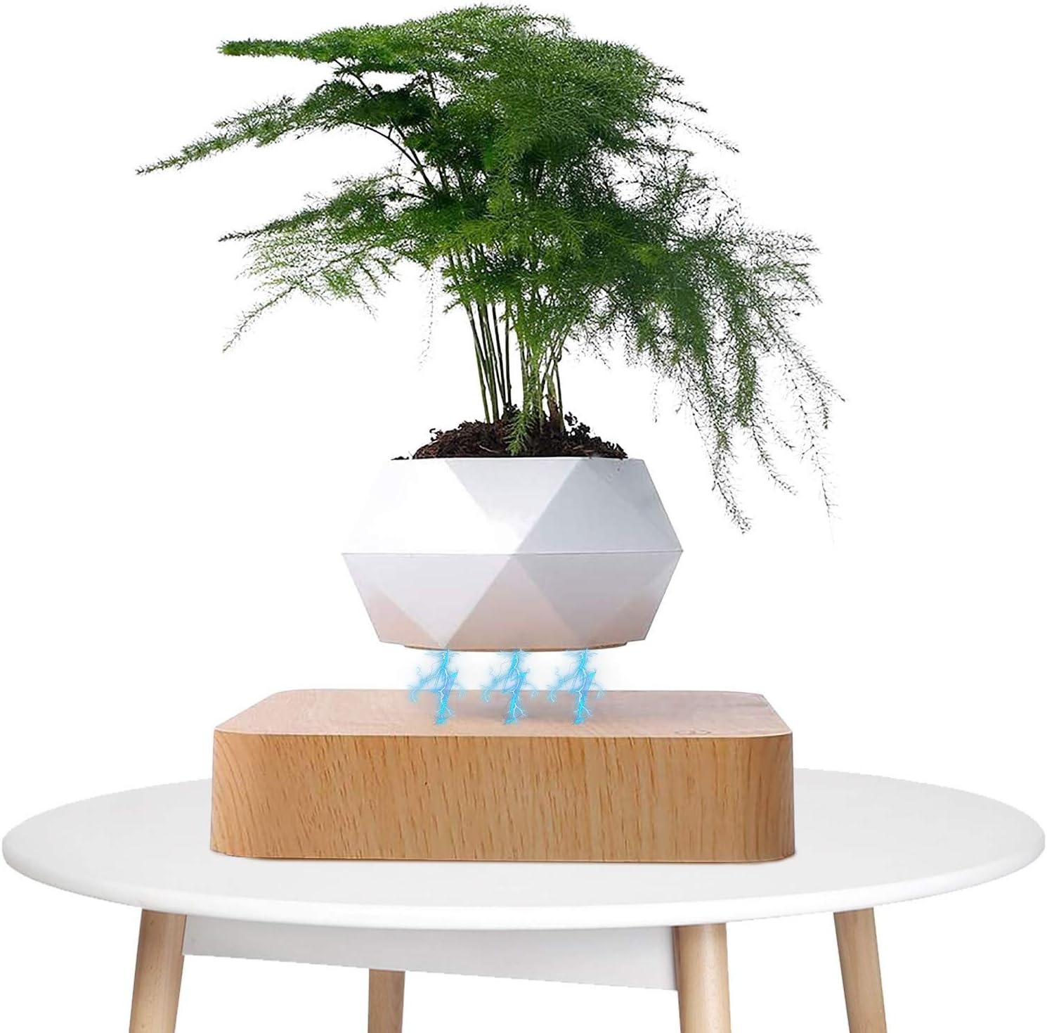 Plantlev – Floating Plant Pot with 360° Rotation for Modern Living