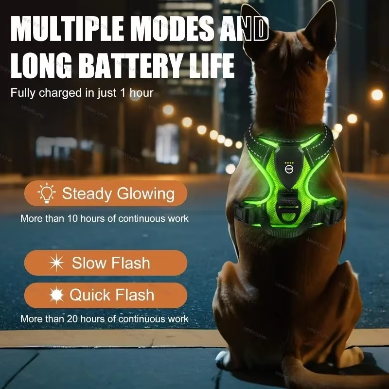 PawGuard – Safe & Stylish Walking