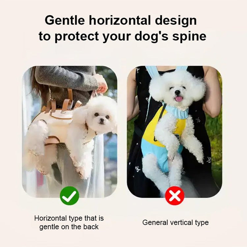 PetGo – Comfort & Safety for You and Your Pet!