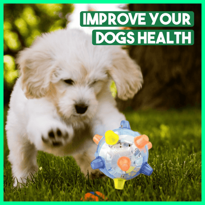 BounceBark - The ball that banishes boredom