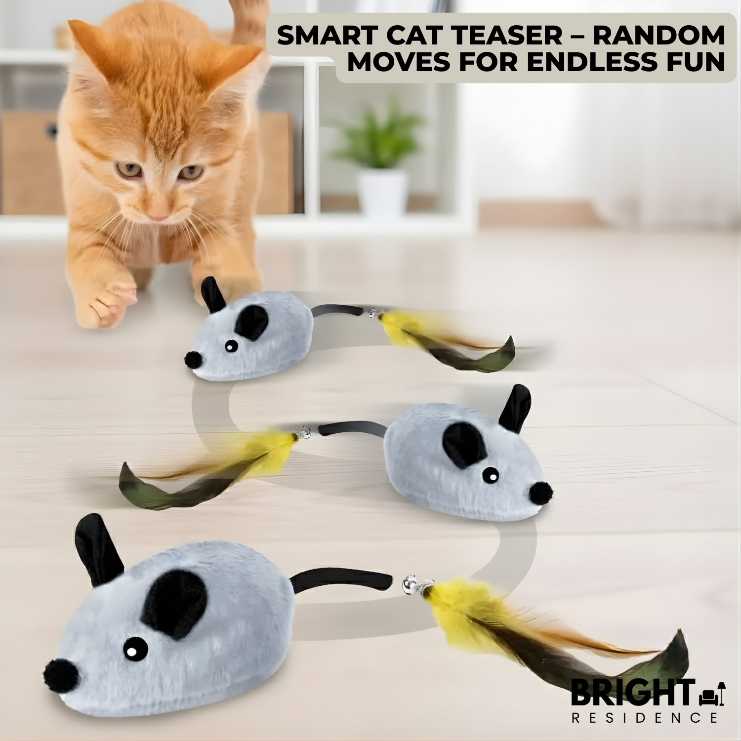 CatChase – The wild hunting fun for curious cats!