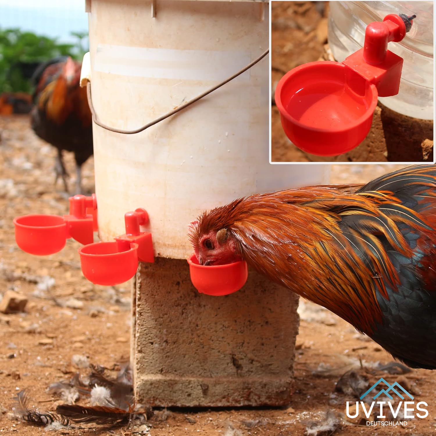 3+3 FREE | AquaNest - Fresh water for happy animals