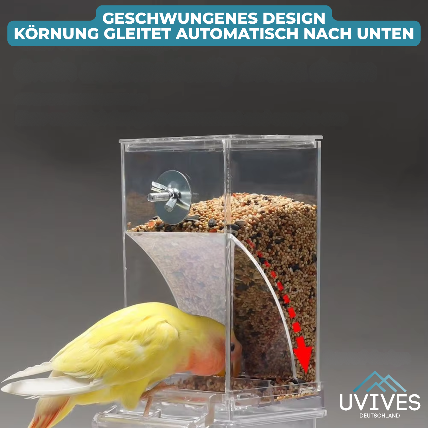 BirdFeed - Clean feeding, happy birds, less effort