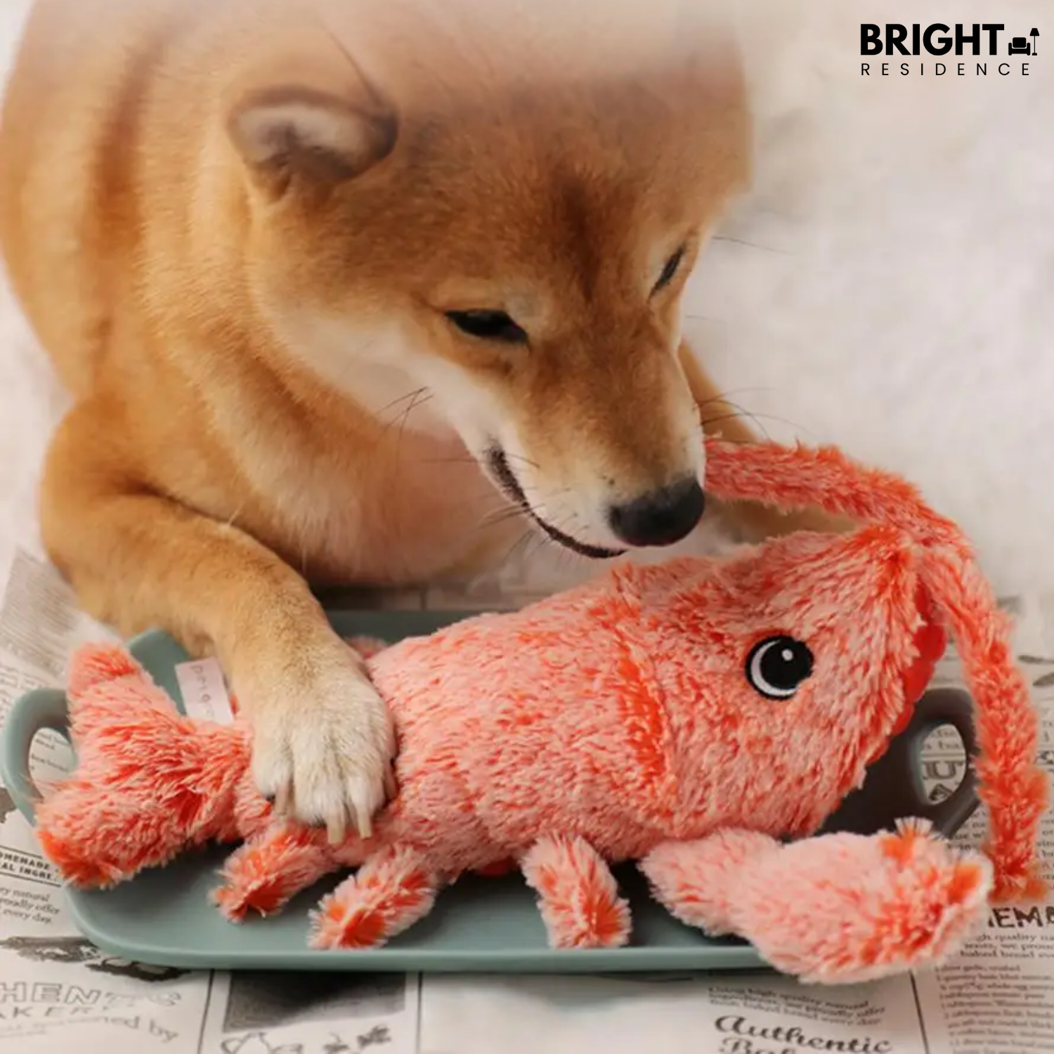 HugglePet – The Ultimate Interactive Toy for Your Furry Friend