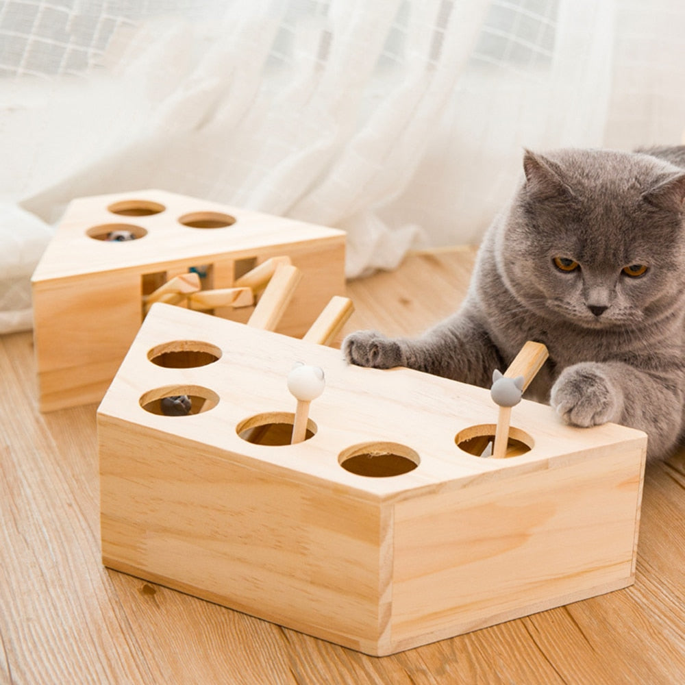 PawFun Wood – Endless Play Fun for Happy Cats
