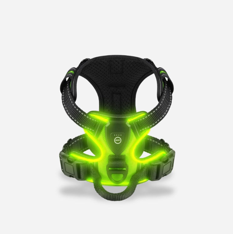 PawGuard – Safe & Stylish Walking