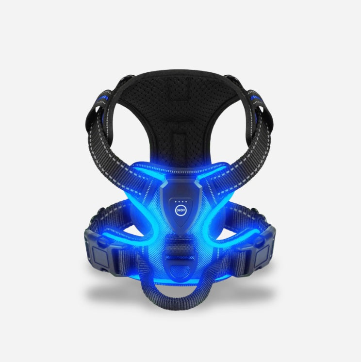PawGuard – Safe & Stylish Walking