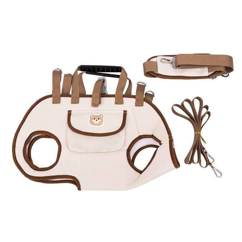PetGo – Comfort & Safety for You and Your Pet!