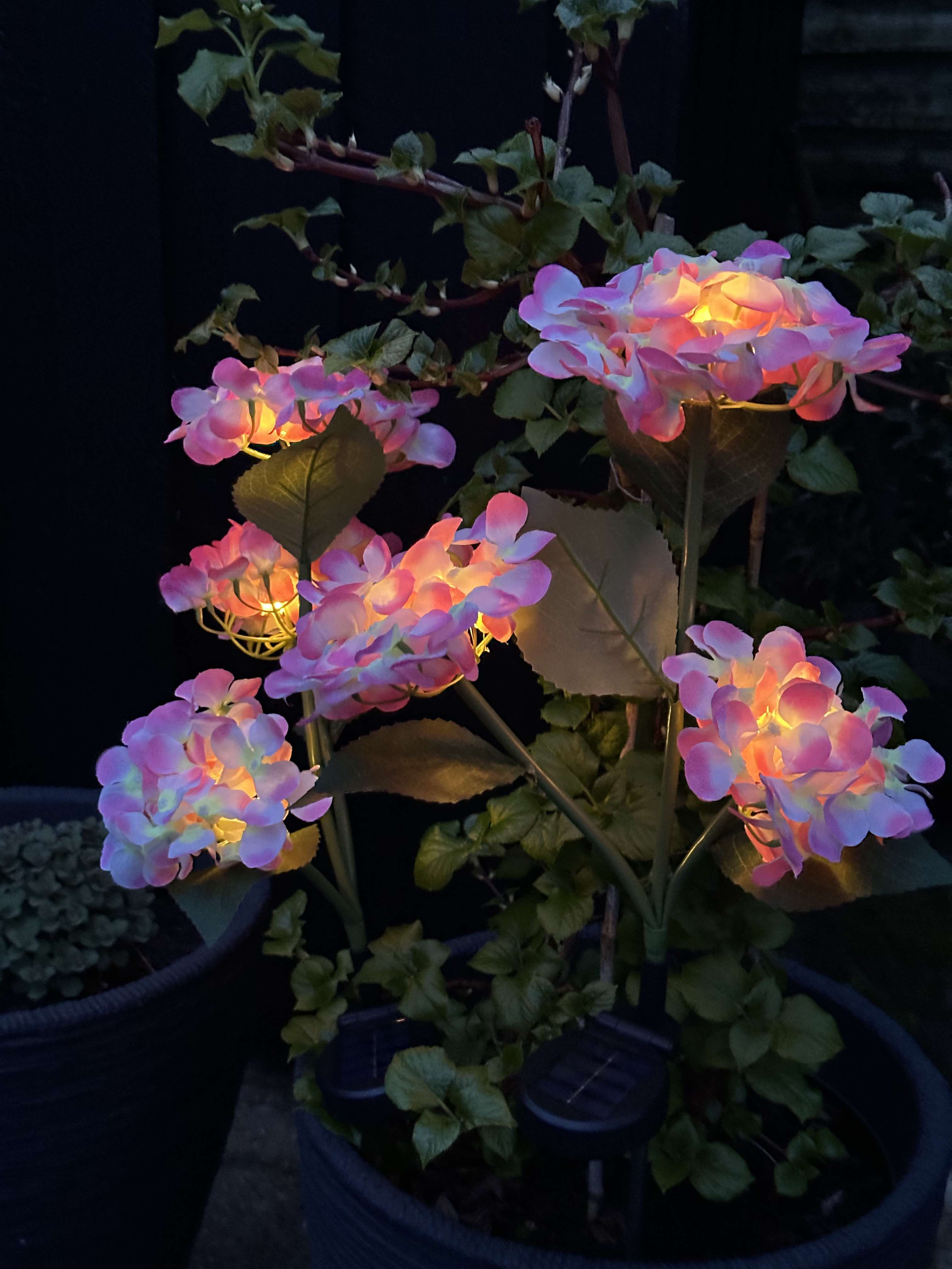 GlowFlora – Brighten Your Garden with Solar-Powered Beauty!