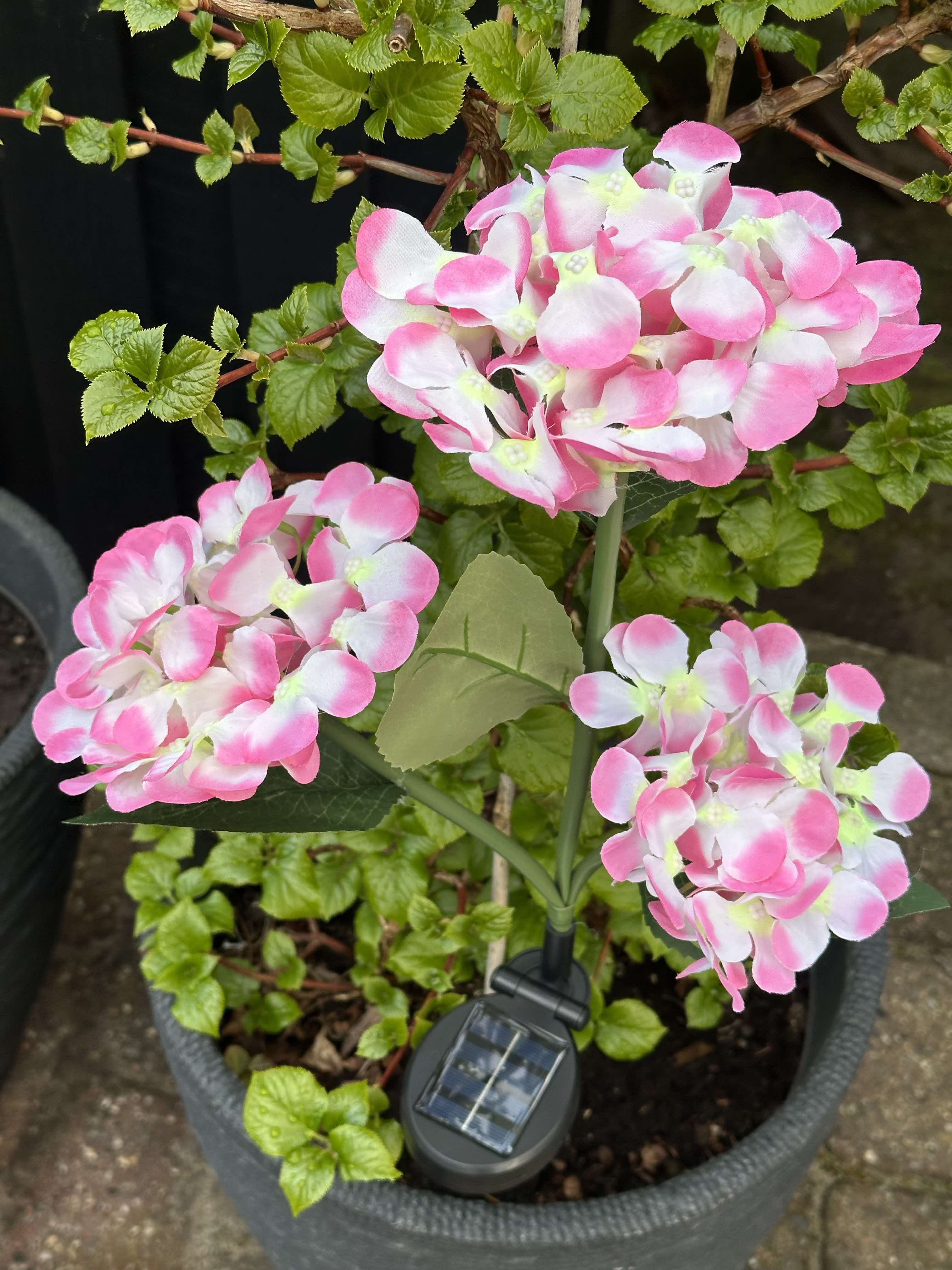 GlowFlora – Brighten Your Garden with Solar-Powered Beauty!