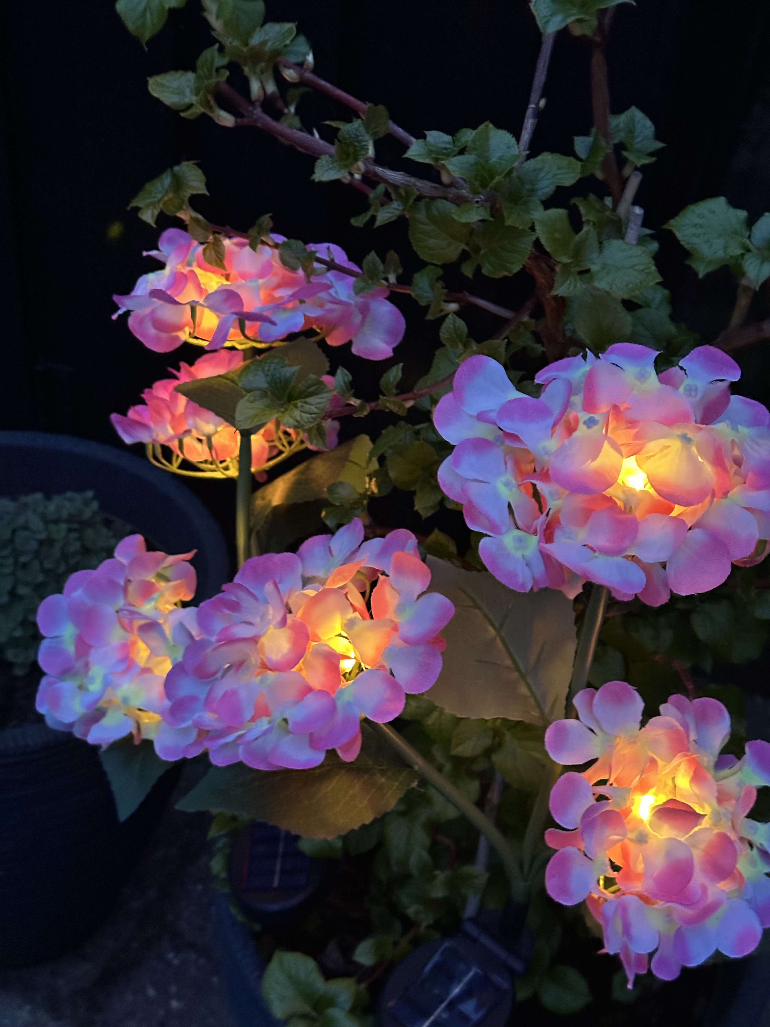 GlowFlora – Brighten Your Garden with Solar-Powered Beauty!