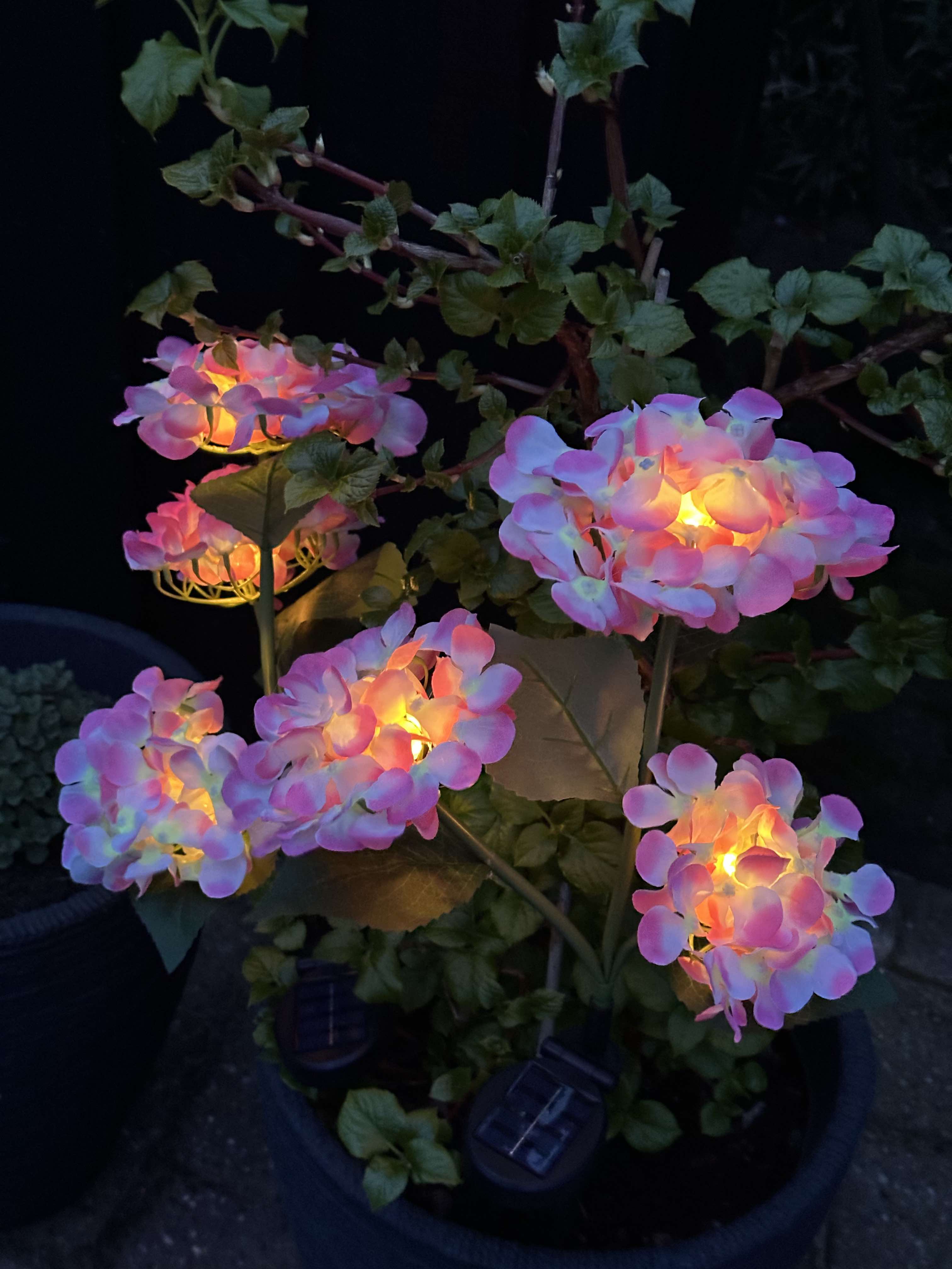 GlowFlora – Brighten Your Garden with Solar-Powered Beauty!