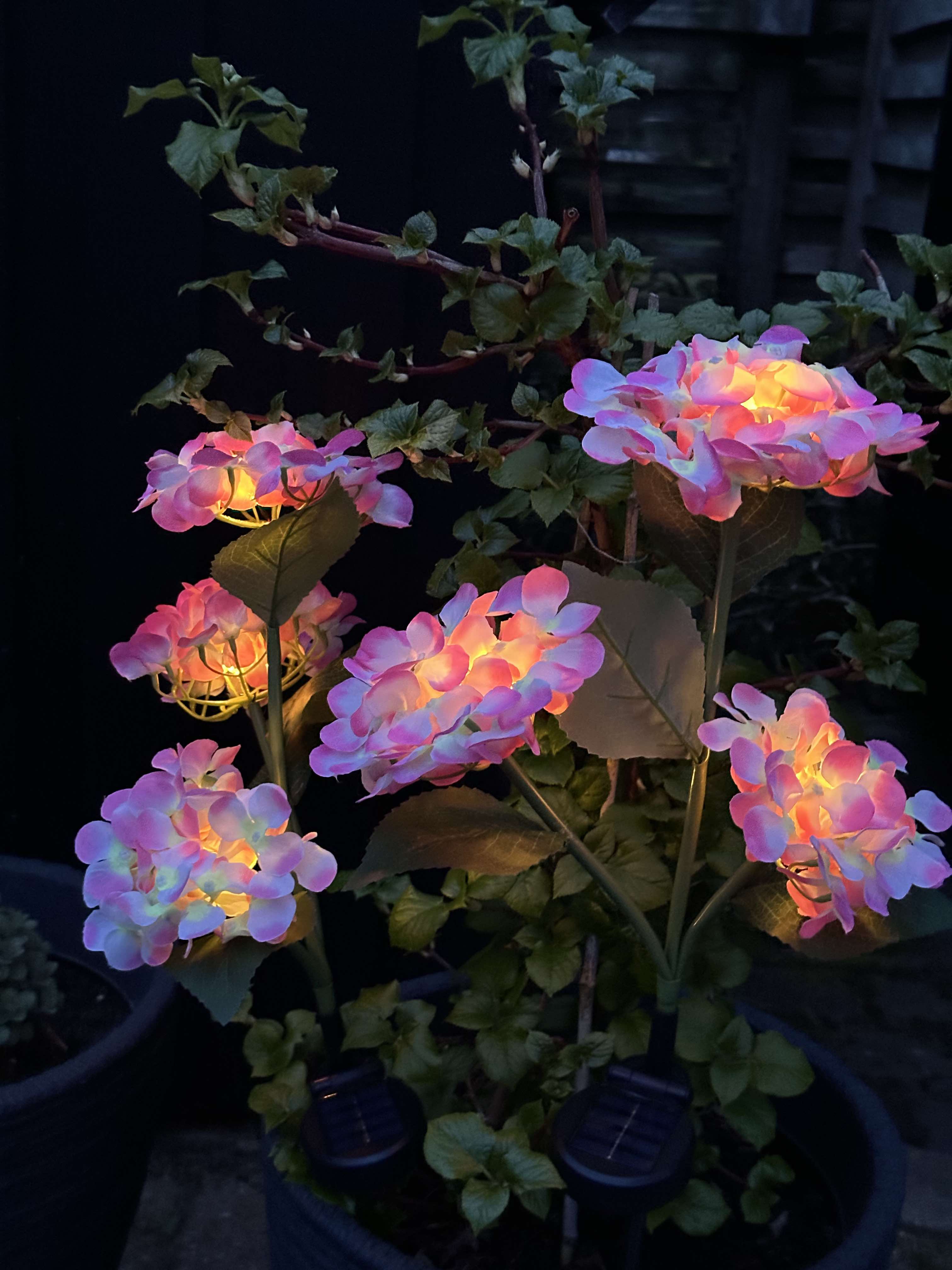 GlowFlora – Brighten Your Garden with Solar-Powered Beauty!