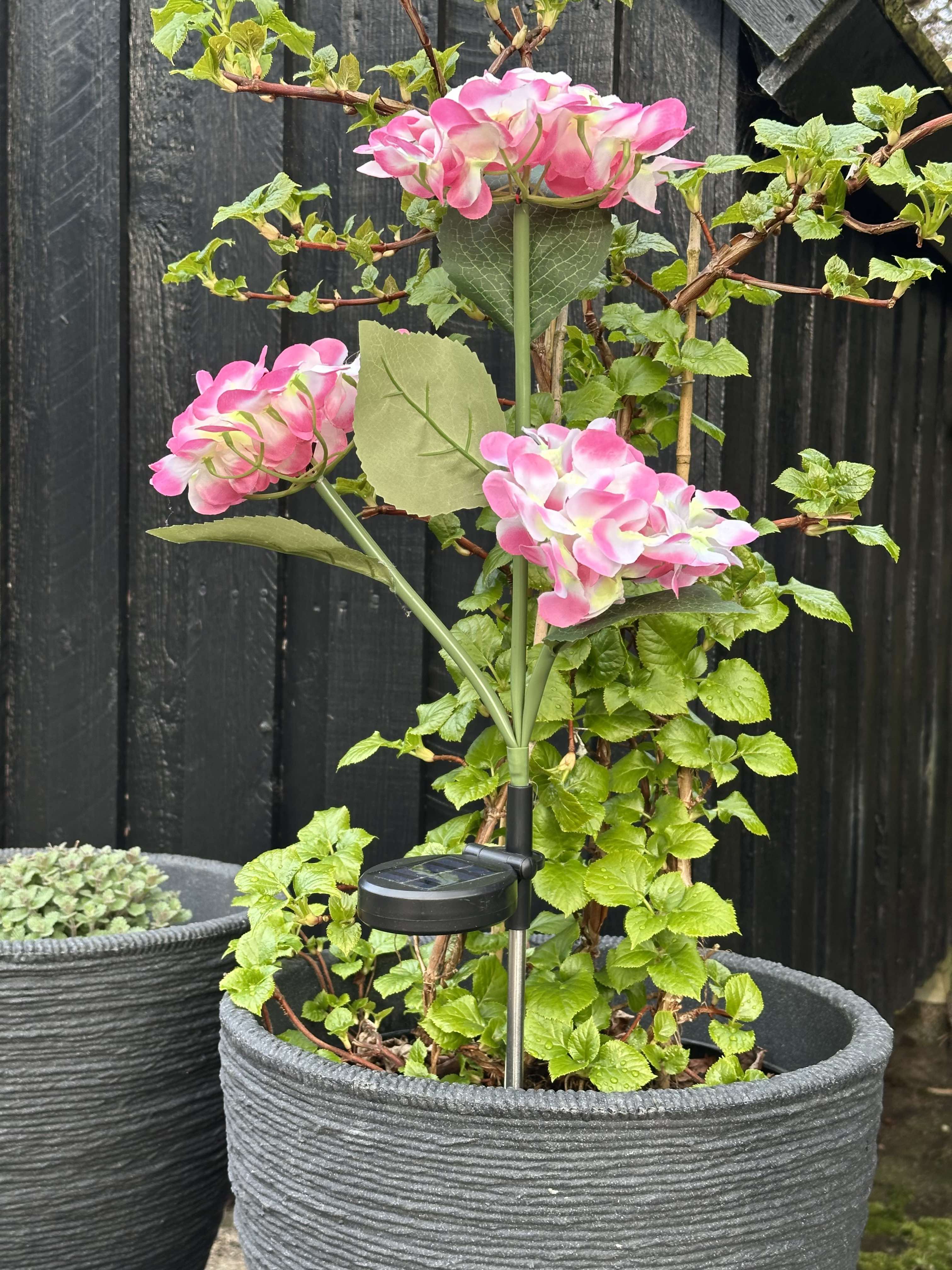GlowFlora – Brighten Your Garden with Solar-Powered Beauty!