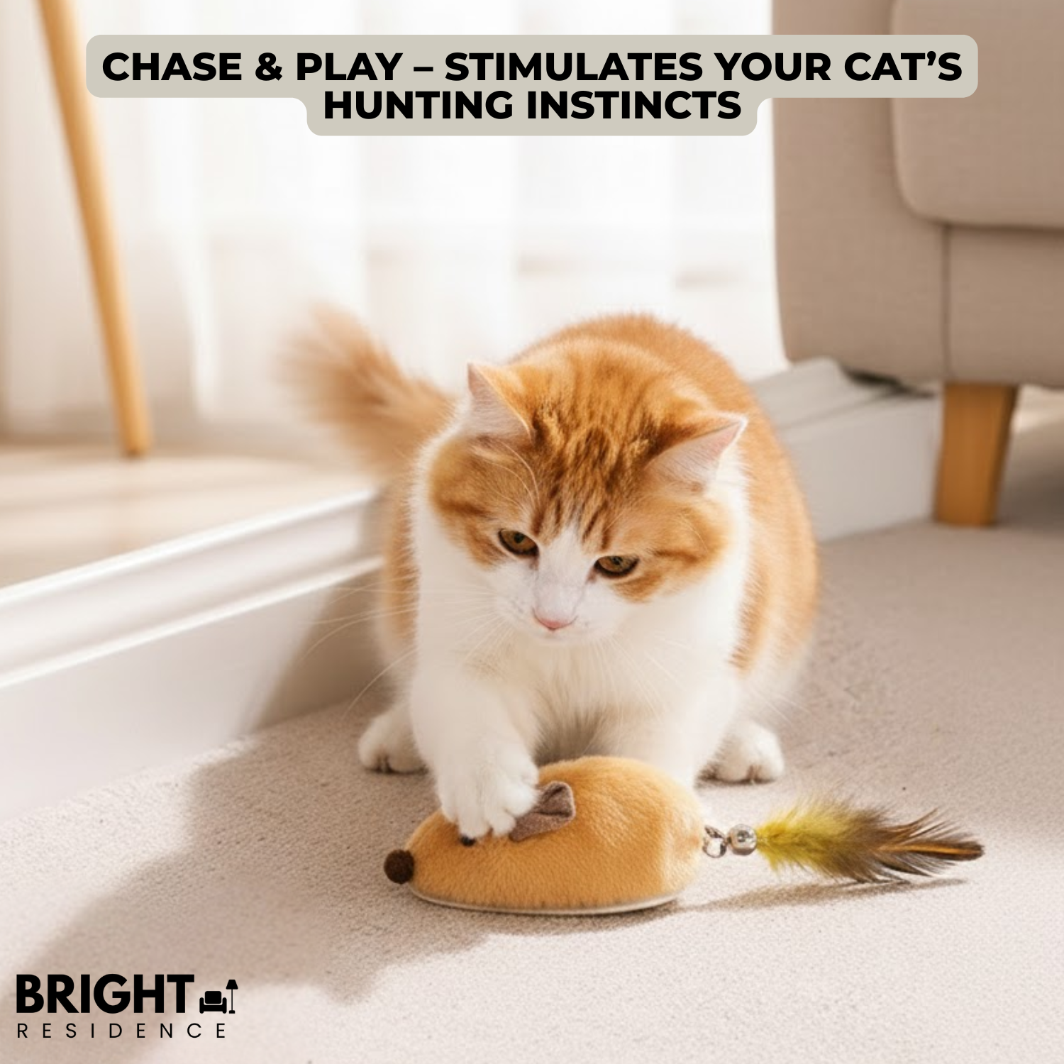 CatChase – The wild hunting fun for curious cats!