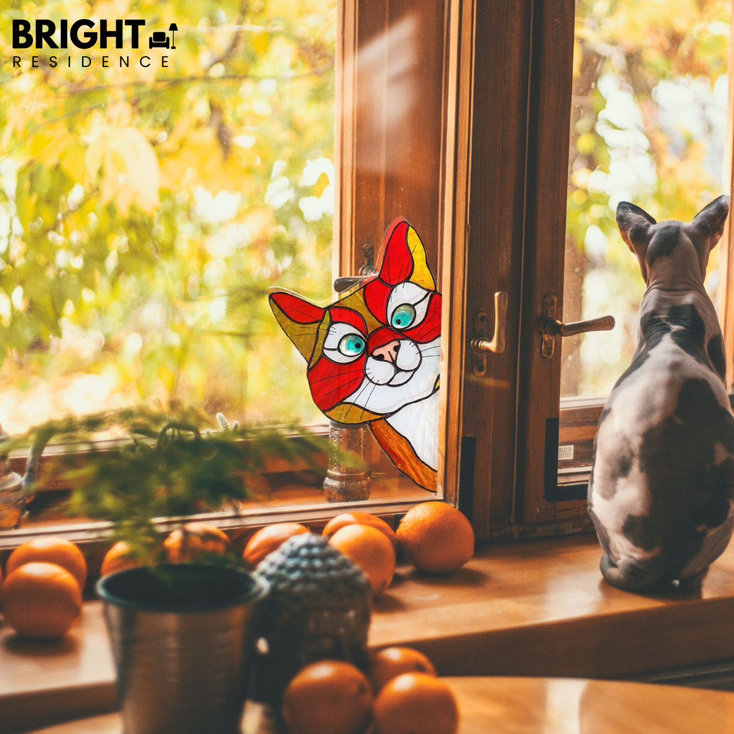 CatPeek – Handmade Cat Suncatcher for the Window