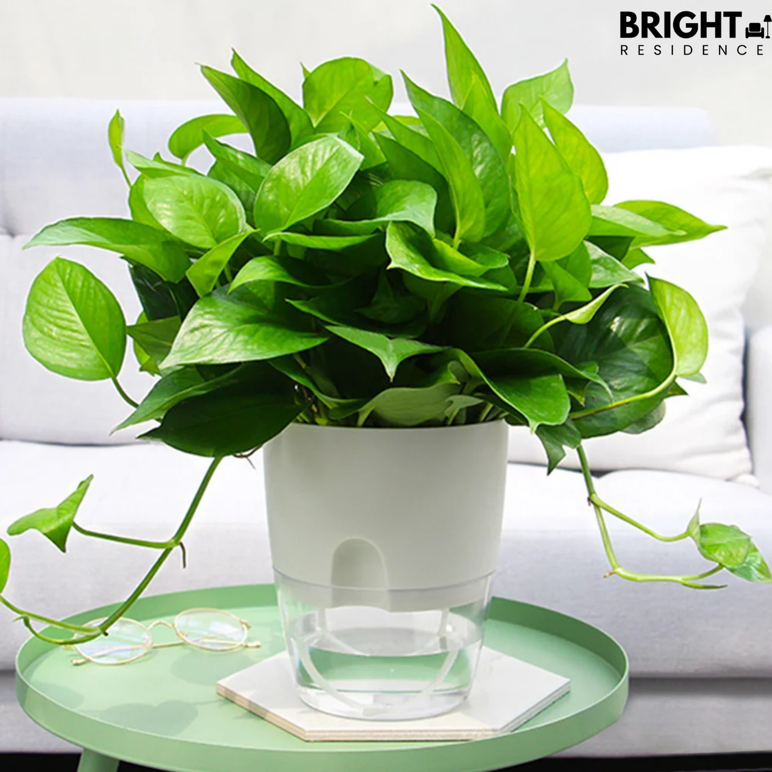 PlanterFlow™ - Self-watering planters